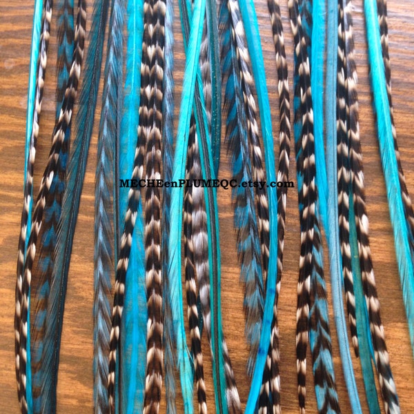 Extension 5 Plumes naturelles pour cheveux aux tons turquoise + teal Réutilisables et longueur au choix - Mèche en Plumes Fée Lagon bleu
