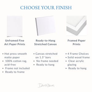 three different types of art paper prints: Unframed Fine Art Prints, Ready-to-Hang Stretched Canvas, and Framed Paper Prints. Each type of print has its own unique features and characteristics, such as the materials used, the frame options, and the ease of hanging or framing.