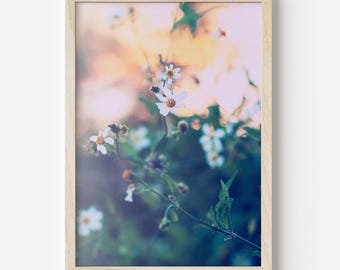 Boho madeliefjefotografie-afdruk: bloemen muurkunst (digitale download)
