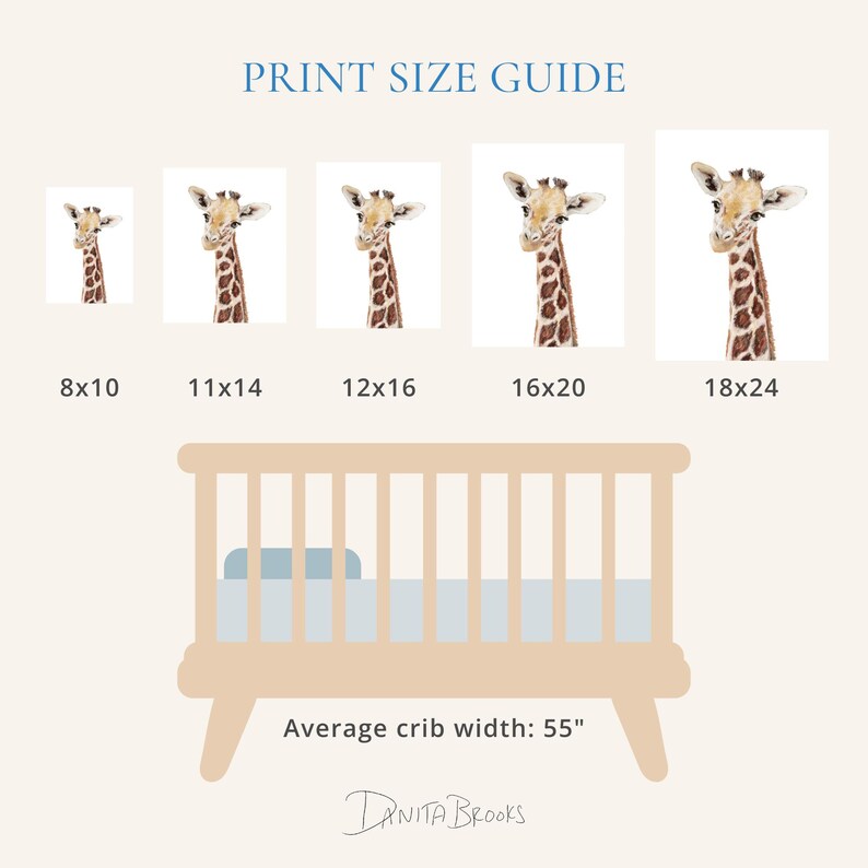 The image is a print size guide that provides the average crib width for different print sizes, ranging from 8x10 to 18x24 inches.