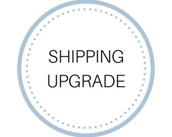 Shipping Upgrade Or Reshipment (Only Use If We Have Discussed It By Email First)