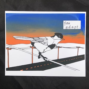 Op de afbeelding: Een zwart-witte vogel zit op een draad met de tekst "You adapt." De achtergrond is een blauwe en oranje zonsondergang.