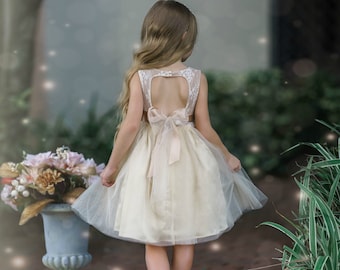 Champagne Flower Girl Dress,Flower girl dresses, ace flower girl dress,tulle rustic flower girl dress,Toddler and baby flower girl dress 30