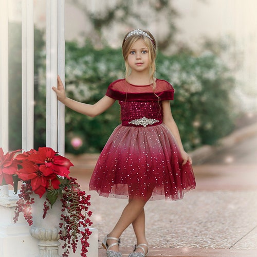 Tulle Flower Girl Dress Girls Christmas Dress Lace Baby Etsy