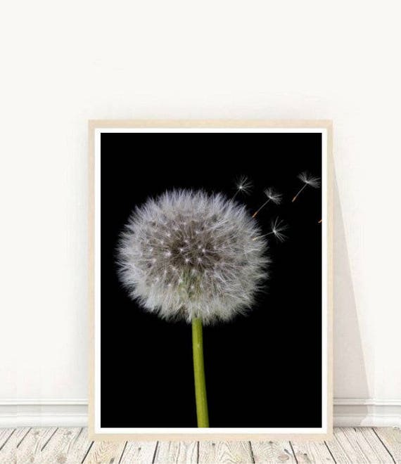 Dandelion Print Dandelion Printable Botanical Print | Etsy