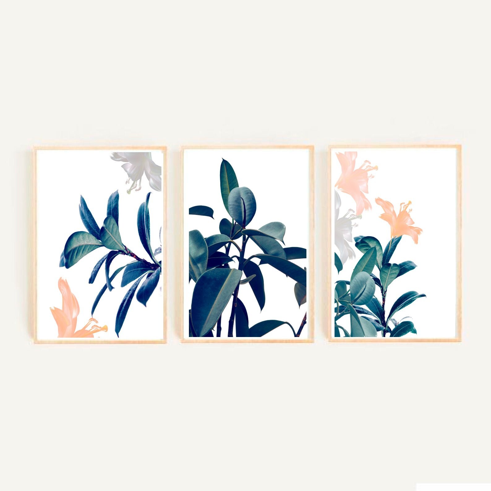 Botanical Prints Set of 3 flower Print Set Plant Wall Art | Etsy
