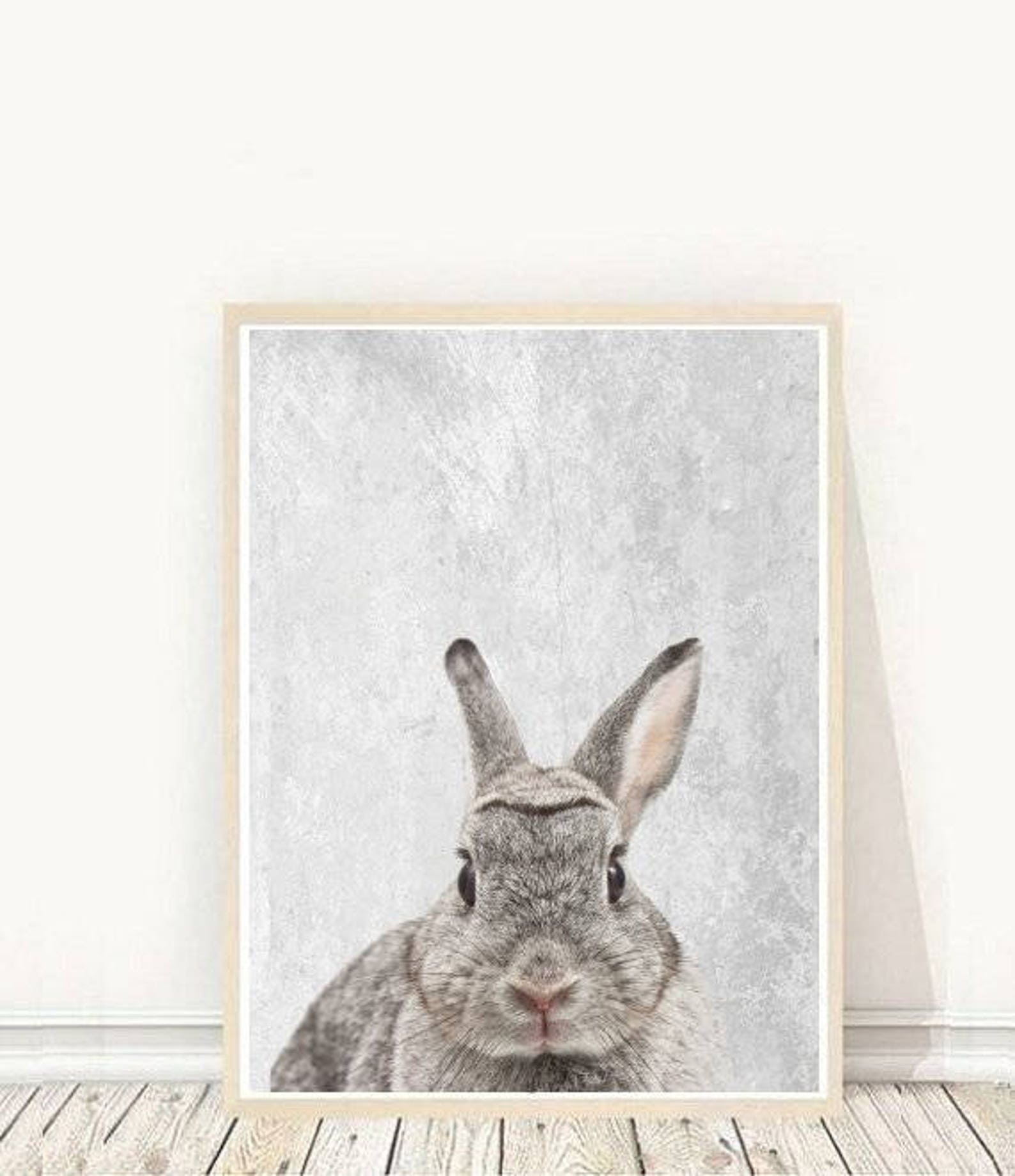 Rabbit Art Print Printable Art Rabbit Print Modern Wall | Etsy