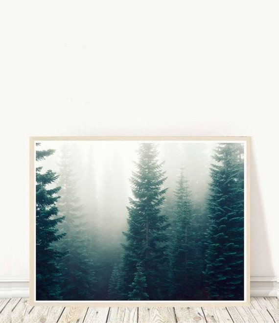 Forest Art Forest Photo Printable Art Woodland Photo Wall | Etsy