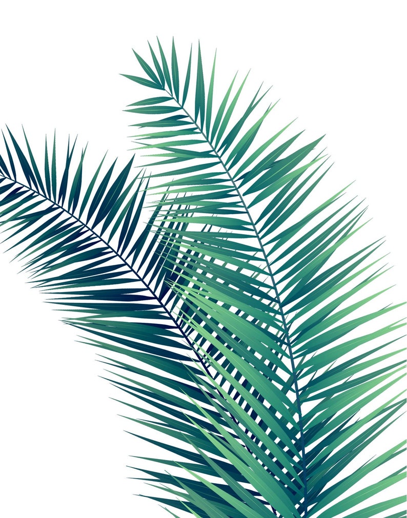 Printable Palm Leaf Palm Leaf Instant Download Printable Botanical