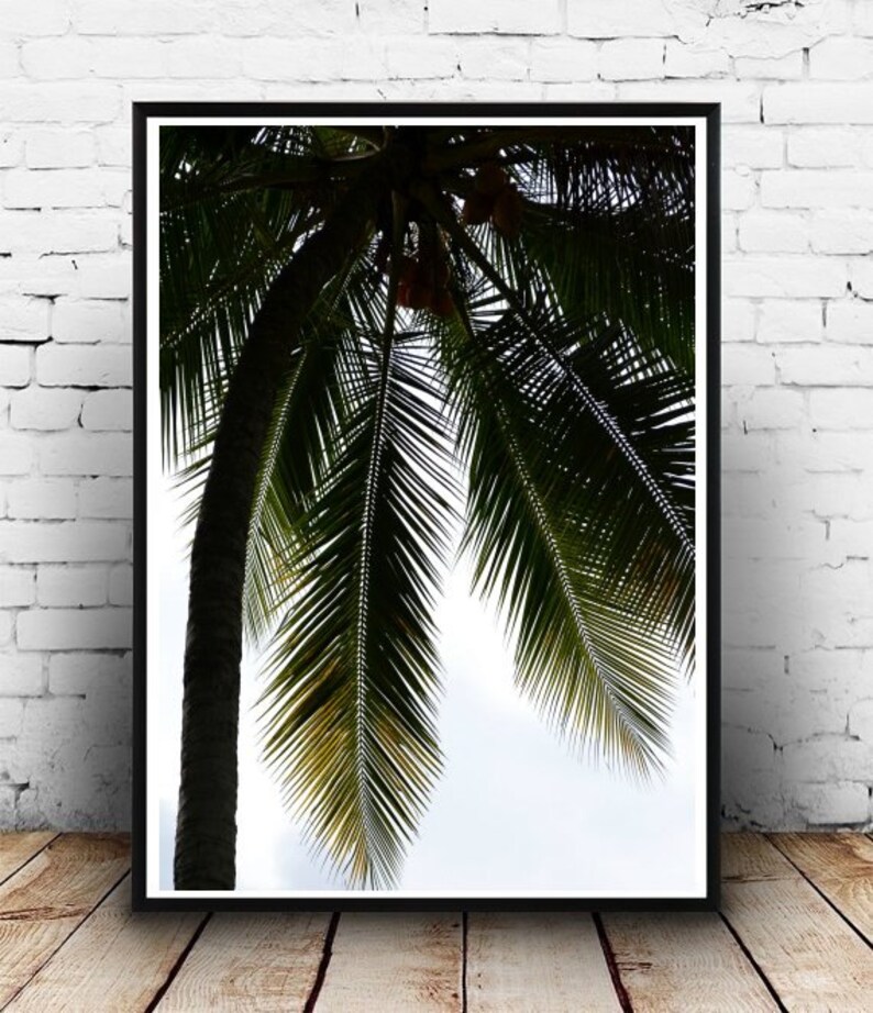 Tropical Art Palm Tree Printable Art Palm Tree Wall Art Etsy