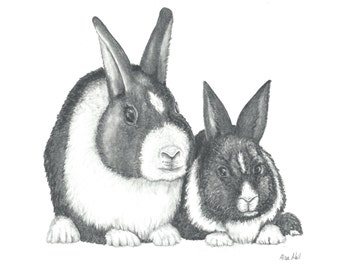 Rabbits