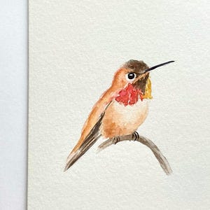 Biglietto colibrì dipinto a mano, biglietti acquerello originali, biglietto dipinto a mano, biglietto fatto a mano, biglietto uccello acquerello, colibrì rossiccio
