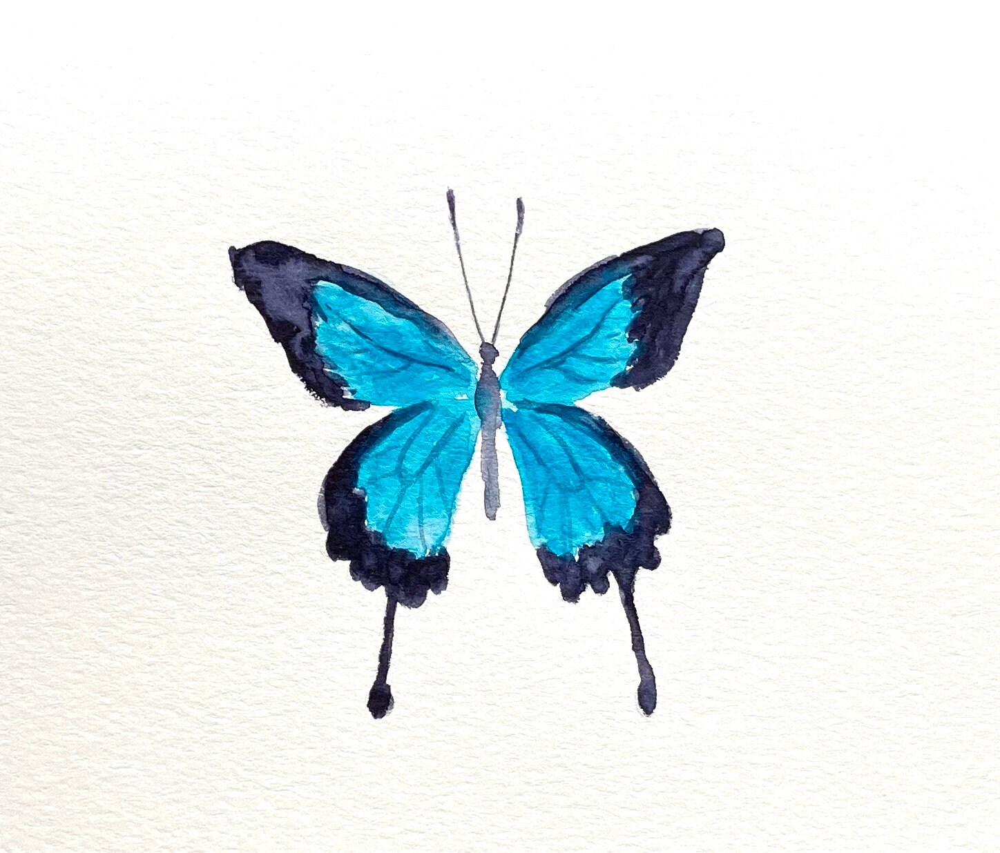 Hand Painted Greeting Card, 5x7, Butterfly Blank Card, Original ...