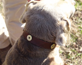 leather dog collar, pet collar, shotgun shell collar, dog lover, handcrafted in USA, hunting dog gift, show dog collar