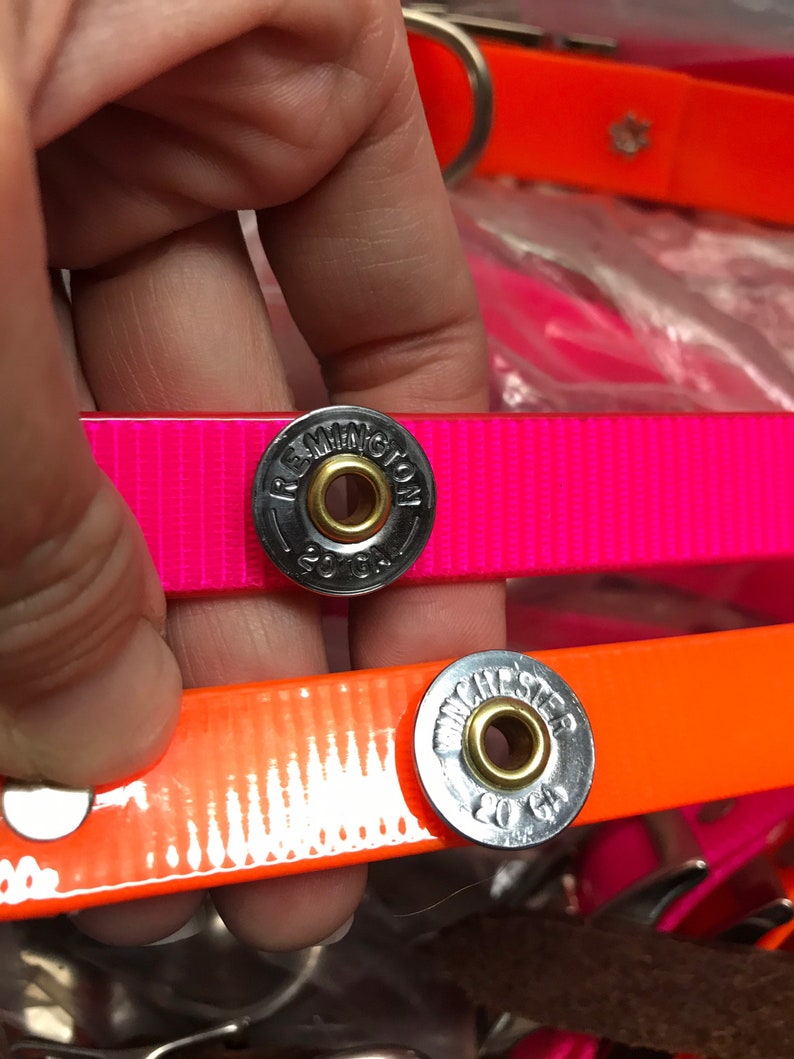 Shotgun Shell Dog Collar Hunting Dog Collar Winchester | Etsy