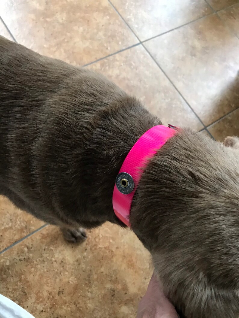 Shotgun Shell Dog Collar Hunting Dog Collar Winchester Etsy