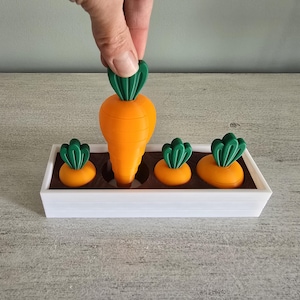May include: A white planter with three small orange carrots and one larger orange carrot with green tops. The carrots are arranged in a row.