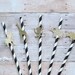 Safari Party Straws Safari Party Decorations Baby Shower/First 1st Birthday/Safari Zoo Jungle Lion Elephant Monkey Giraffe Rhino Black Gold