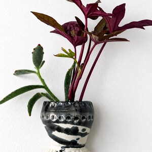 May include: A wall-mounted ceramic planter with a black and white mottled glaze and a fluted base. The planter holds two plants: one with deep purple, lobed leaves and another with fuzzy, light green, elongated succulent leaves.
