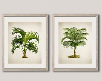 Palm Tree Prints Set of 2 Botanical Palm Posters Palm Tree Wall Art Tropical Wall Art Tropical Palm Tree Art Tropical Print WBOT27-WBOT28