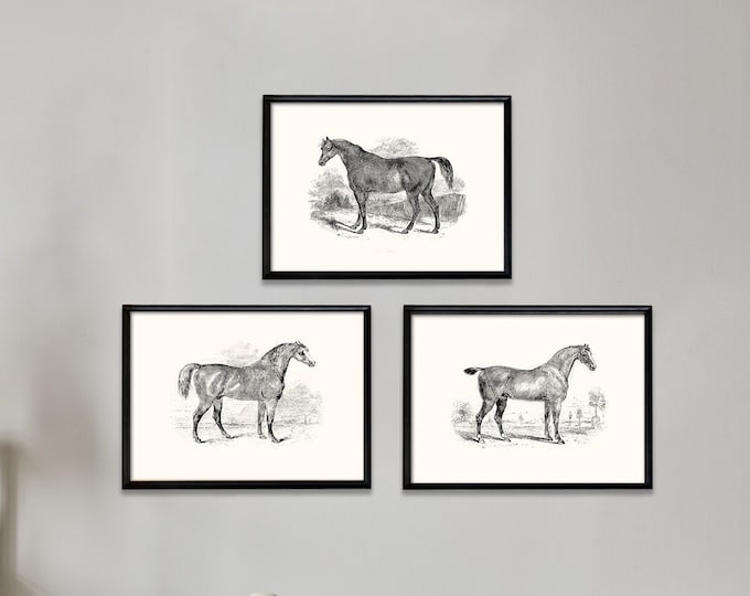 Equine Elegance: Set of 3 Horse Sketch Posters for Rustic Home Decor Horse Sketch Posters for Horse Lovers Rustic Charm for Home and Office