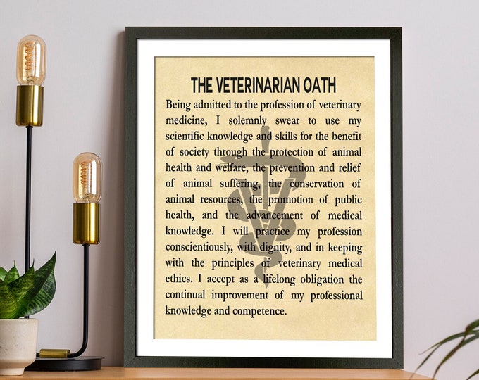 Vet Gift Gift for Veterinarian Wall Art Framed Veterinarian Oath Framed Gift