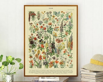 Boho Ephemera Botanical Flowers Antique French Poster High Resolution Art
