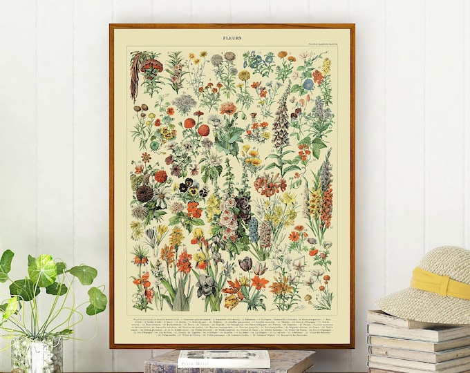 Boho Ephemera Botanical Flowers Antique French Poster High Resolution Art