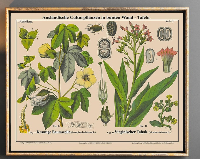 Landscape Botanical Print Cotton Botanical Plant Tobacco Plant Kitchen Plant Decor