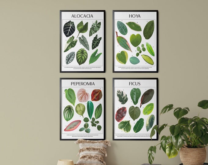 Botanical Prints Set of 4 Modern Botanical Art Green Plant Leaf Posters Plant Boho Botanical Decor Plant Office Minimalist Biophilic Art