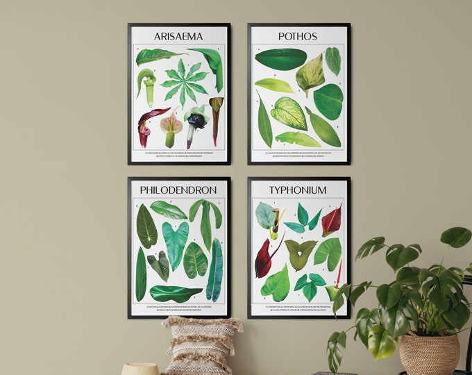 Botanical Decor for Home Set of 4 Botanical Art for Office Eco Friendly Art Earthy Wall Art Green Set of 4 Nature Posters for Home Decor