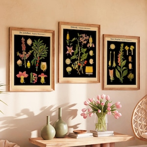 Pflanzenposter Set mit 3 Pflanzenmotiven auf schwarzem Hintergrund - Poster Print