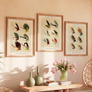 Vintage Fishing Fly Art Prints - Set of 3 - Angler Decor