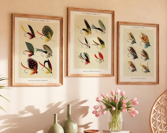 Vintage Fishing Fly Art Prints - Set of 3 - Angler Decor