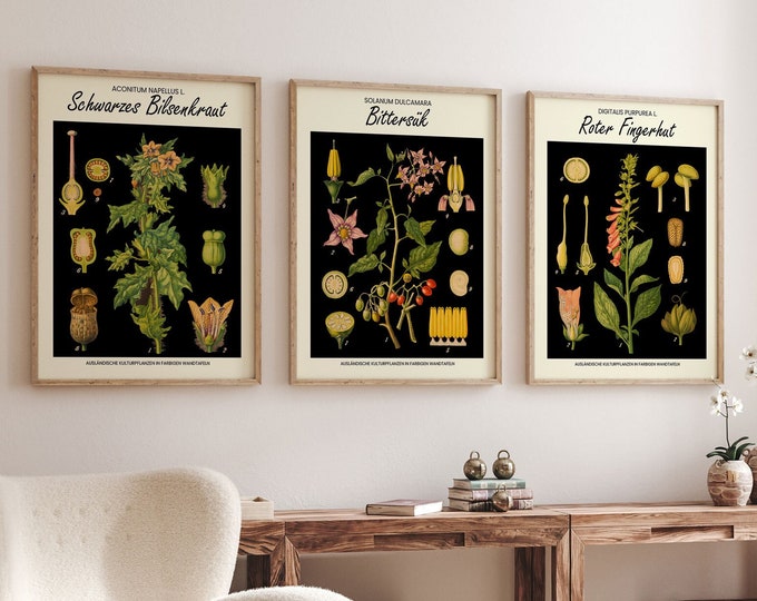 Botanical Posters Set of 3 Antique Illustrations Gallery Wall Bundle Kitchen Plant Posters Nature Inspired Wall Art Natural Interior Decor