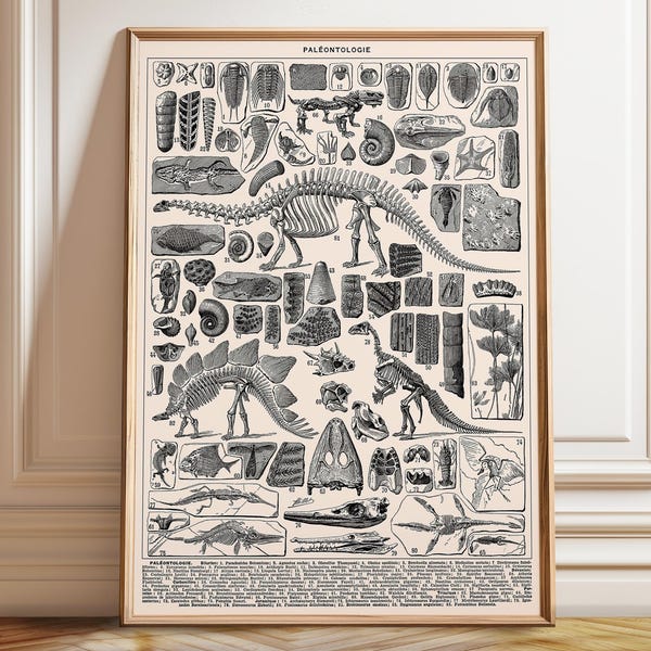 Dinosaur Paleontology Wall Art Print | Vintage Fossil Chart | Prehistoric Dinosaur Decor Poster