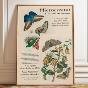 Butterfly Museum Poster: Vintage Insect Art Print