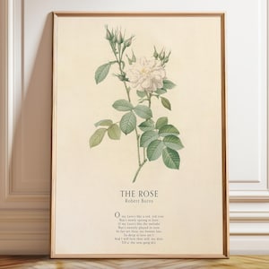 Arte mural "La Rosa" de Robert Burns - Impresión de arte floral de poesía clásica - Rosa botánica de la literatura escocesa - Póster, marco e impresión en lienzo