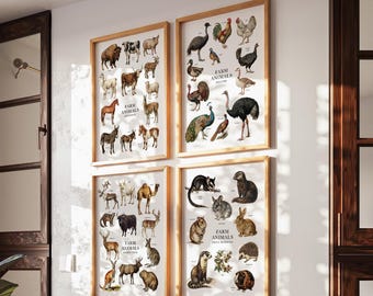May include: Four rectangular wall posters in light wood frames, each featuring detailed illustrations of various animals. The prints are titled Farm Animals, Farm Animals, Farm Animals, and Farm Animals Small Mammals, with labels identifying each creature.