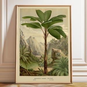Greenery Wall Backdrop Wall Art Vintage Tropical Tree Art Botanical Tree Print Large Greenery Wall Decor – Poster, Framed and Canvas Print