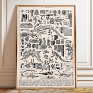 Dinosaurier Poster Dinosaurier Wandkunst Dinosaurier Dekor Paläontologie Wandkunst Fügen Sie einen Hauch von prähistorischem Spaß hinzu - Poster, gerahmt und auf Leinwand