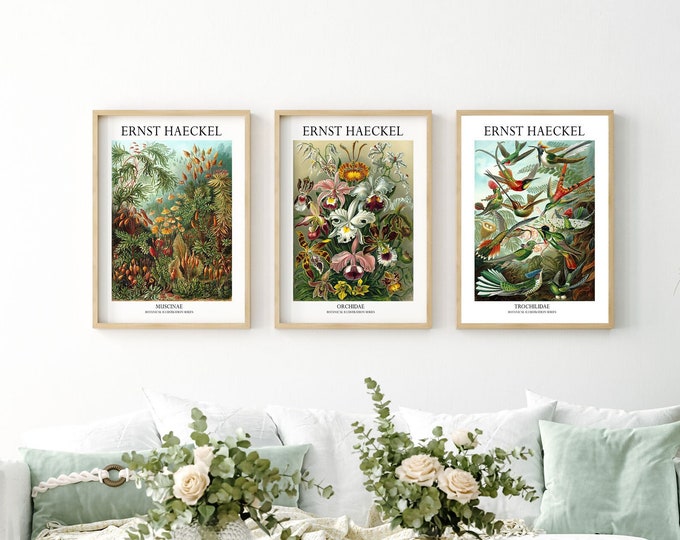 Botanical Print Set of 3 Botanical Posters by Ernst Haeckel Modern Botanical Style Prints for Home Office, Work Space, Cafe or Kitchen