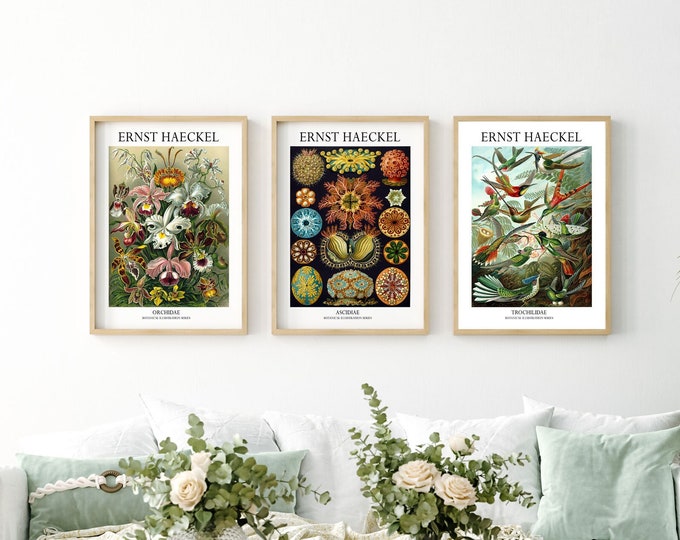 Botanical Posters Set of 3 Beautiful Botanical Prints Ernst Haeckel Illustrations