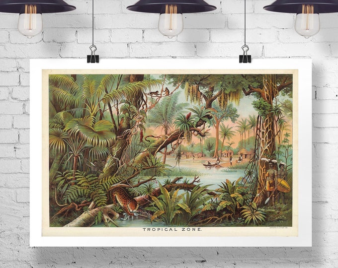 Tropical Prints Plants Wall Art Plant Greenery Climate Poster from 1890's
