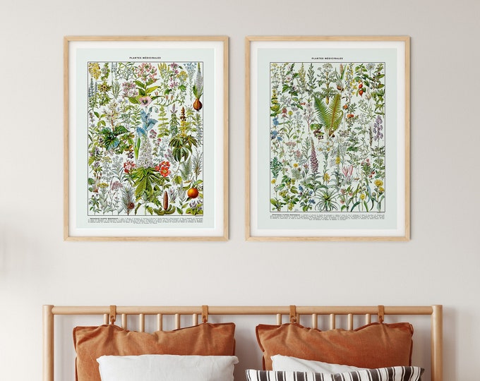 Medicinal Plants Set of 2 Botanical Plant Prints Beautiful Colorful Prints