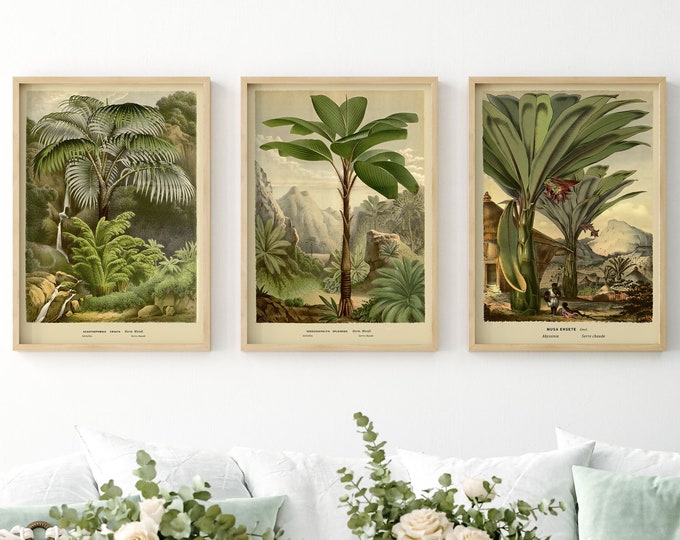 Palm Tree Botanical Tropical Trees Greenery Set of 3 Tropical Plant Home Decor Prints for New Apartment or Eco Friendly Home