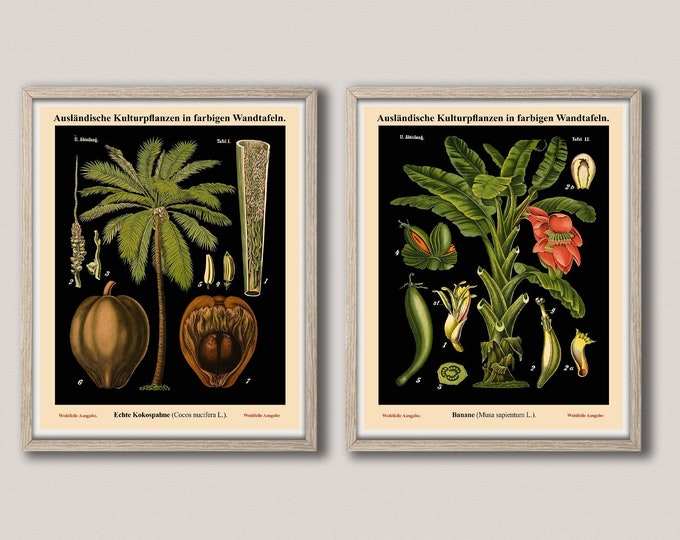 Botanical Art Set of Botany Educational Chart Prints Botanical Chart Botanical Decor Black Botanical Wall Art WBBLOT26-28