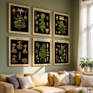 Set of 6 Botanical Prints Botanical Poster Set of Kitchen Prints Living Room Decor Botanical Decor - Poster, Framed, and Canvas Print