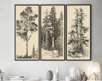 Vintage Tree Etchings Neutral Wall Art Antique Drawing Antique Wall Art Set of 3 Sketches Rustic Line Drawings of Trees Forest Wall art