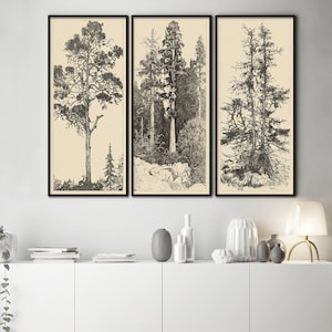 Vintage Tree Etchings Neutral Wall Art Antique Drawing Antique Wall Art Set of 3 Sketches Rustic Line Drawings of Trees Forest Wall art